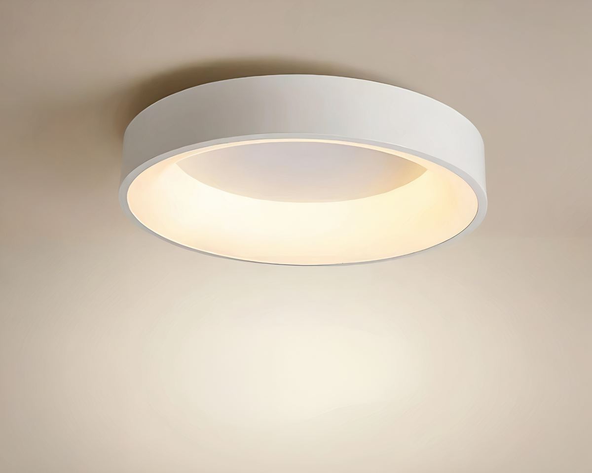 Lustre sans fil disque plat blanc chaud, vue 4