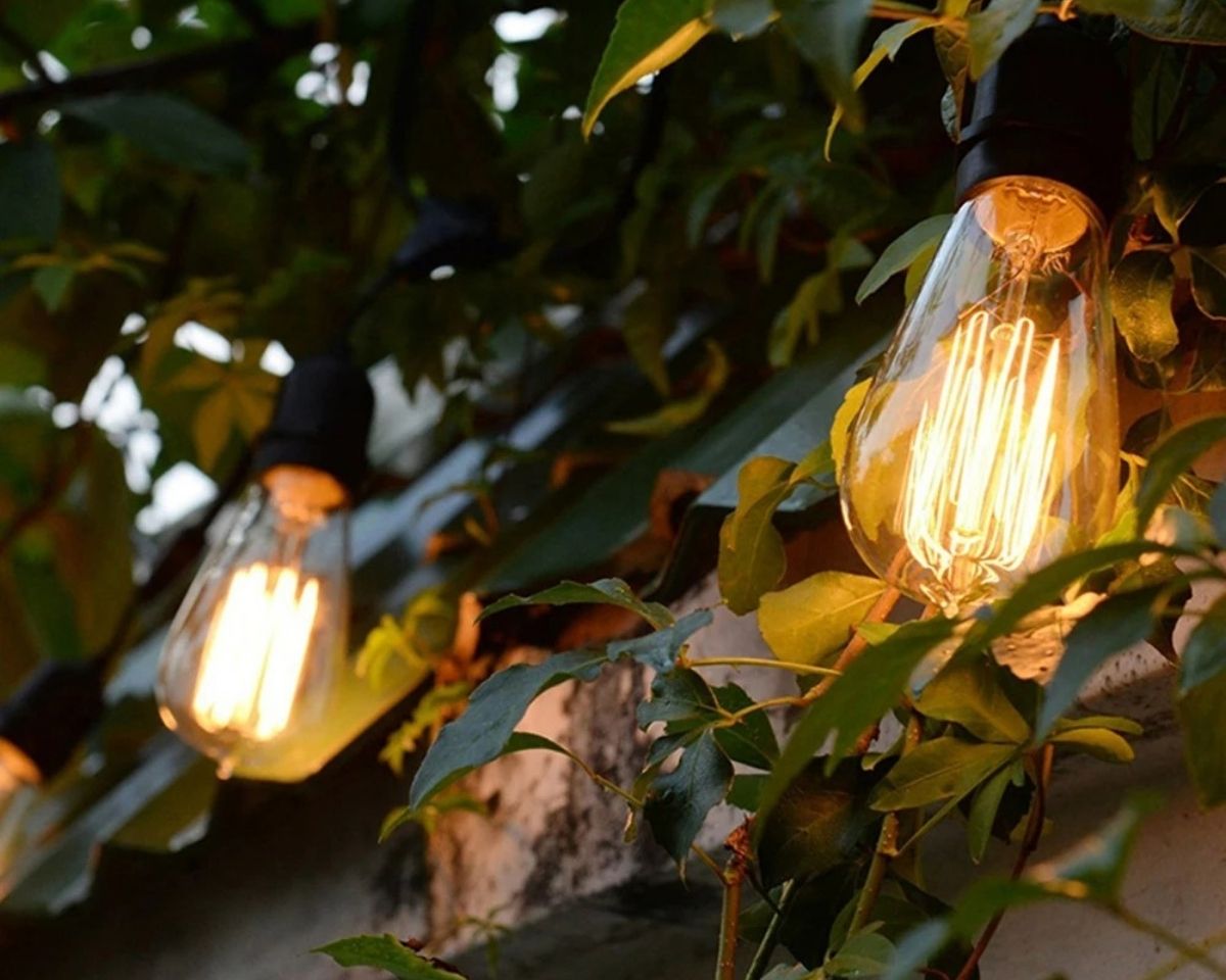 Ampoule pour lustre Edison à filament spirale, vue 3