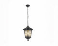Lustre extérieur lanterne rétro en fer forgé noir, vue 8