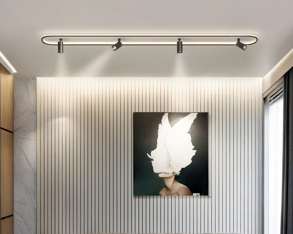 Lustre salon ovale plafonnier à spots orientables, vue 2
