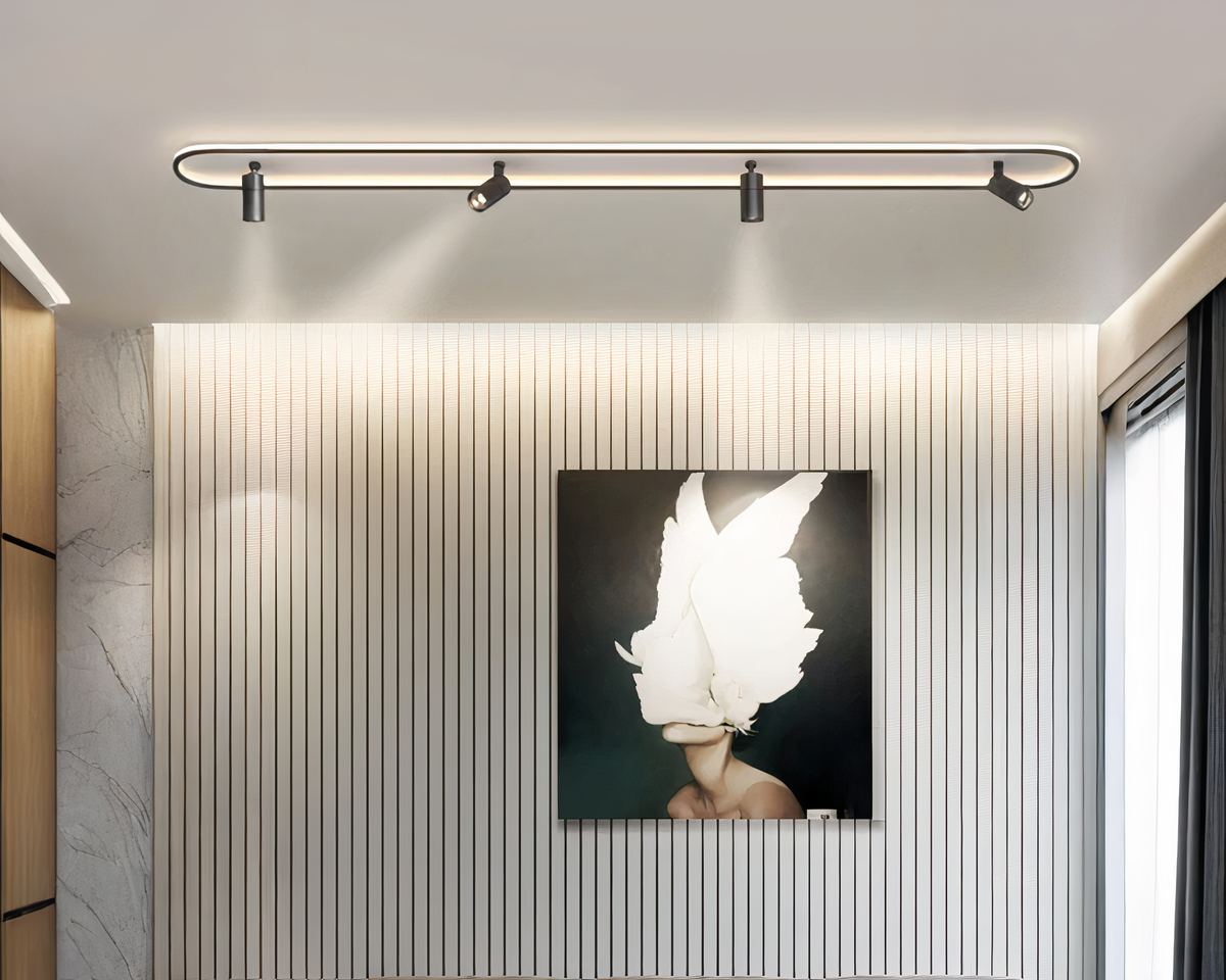 Lustre salon ovale plafonnier à spots orientables, vue 2